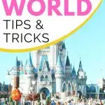 Disney World Tips