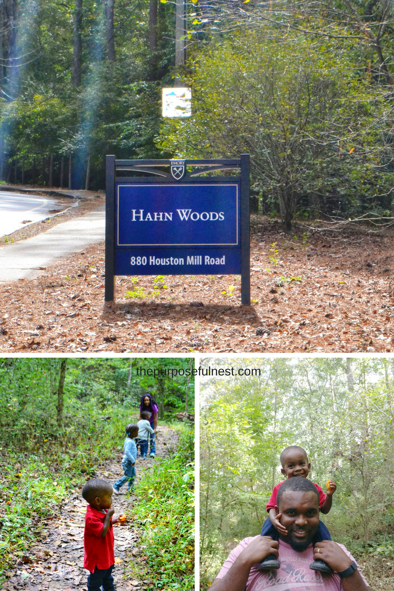 Hahn Woods Atlanta
