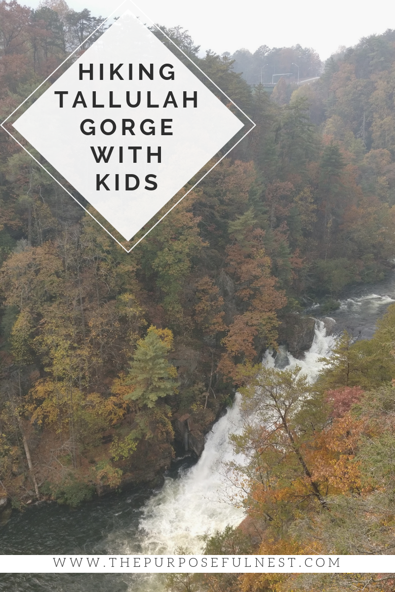 hiking tallulah gorge with kids