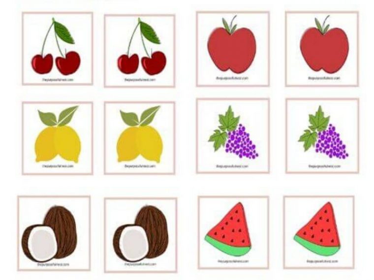 Free Printable Safari Animal Matching Cards - The Purposeful Nest