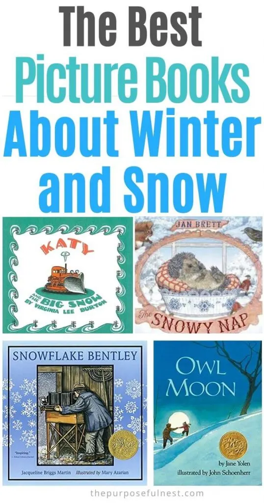 Picture Books about Winter and Snow.jpg