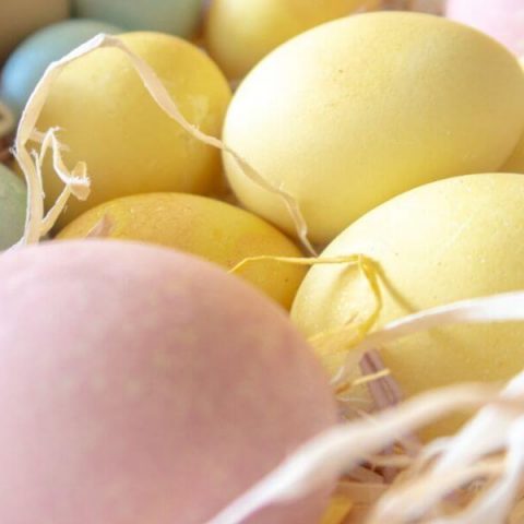 Dye Eater Eggs Natural