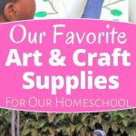 Arts and Crafts supplies for homeschooling