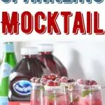 Sparkling Cranberry Mocktail