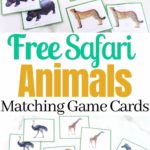 Jungle Animal Cards