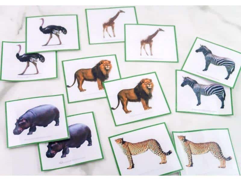 mother baby animals picture card matching