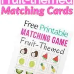 Fruit Matching Activity