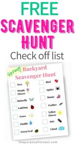 Nature Scavenger Hunt