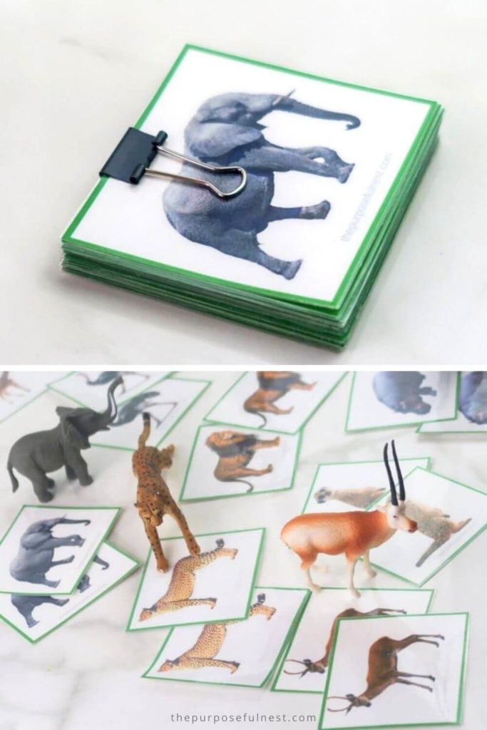 Safari Animals Matching Cards