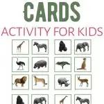Safari Animal Cards Learning Activity