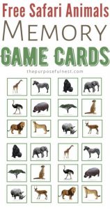 Safari Animals Matching Cards