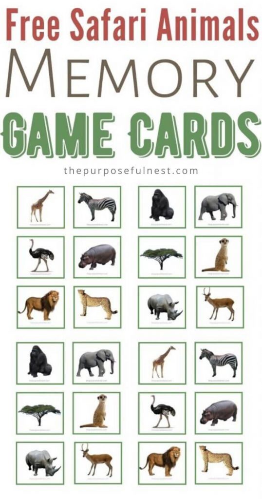 Free Printable Safari Animal Matching Cards - The Purposeful Nest