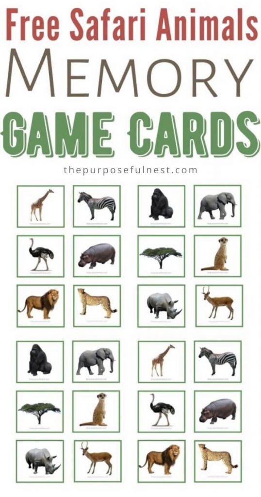 free-printable-safari-animal-matching-cards-the-purposeful-nest