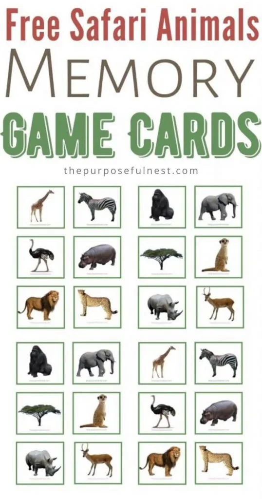 Safari Animals Matching Cards