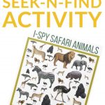 Safari Animals Seek n Find Activity