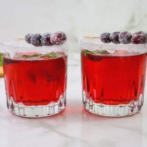 Simple Cranberry Holiday Mocktail