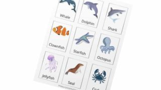 Ocean Animals Memory Cards