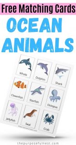 Ocean Animals Memory Cards