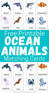 Ocean Animals Preschool Printable