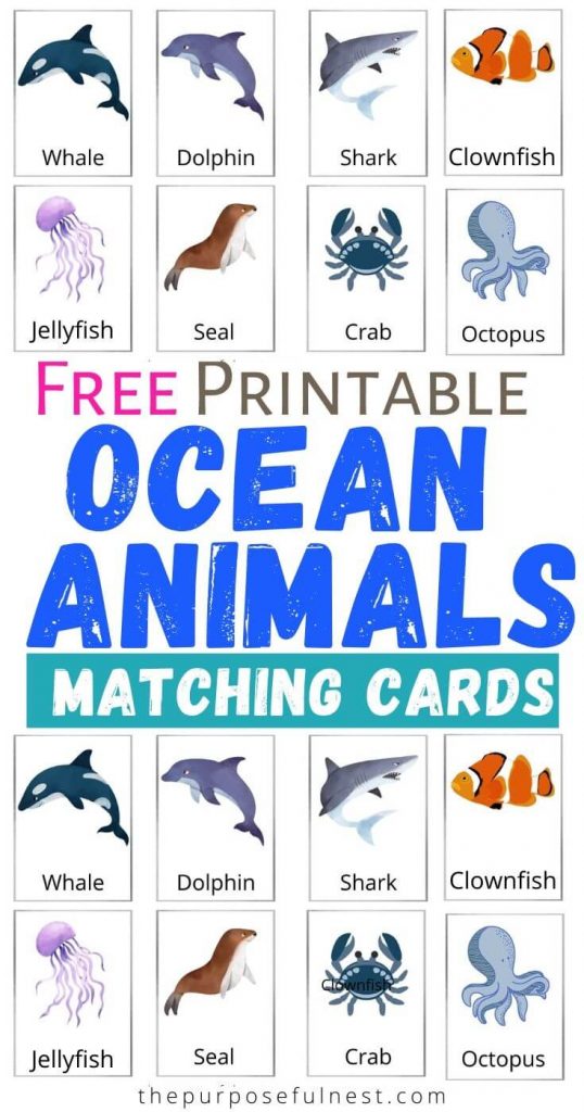 Ocean Animals Memory Cards - The Purposeful Nest