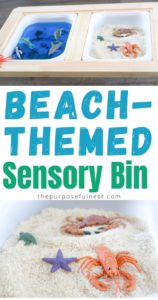 Beach Sensory Bin