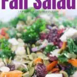 Fall Salad Recipe