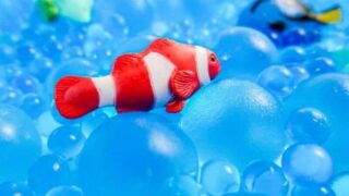 Ocean Sensory Play