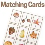 fall matching cards