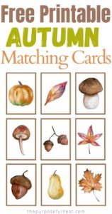 Fall Matching Cards