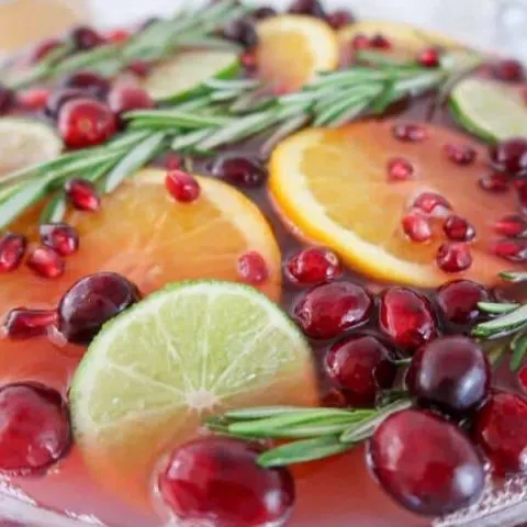 Non-Alcoholic Holiday Punch