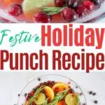 Holiday Punch