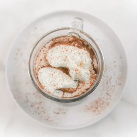 Homemade Hot Chocolate with Chocolate Chips