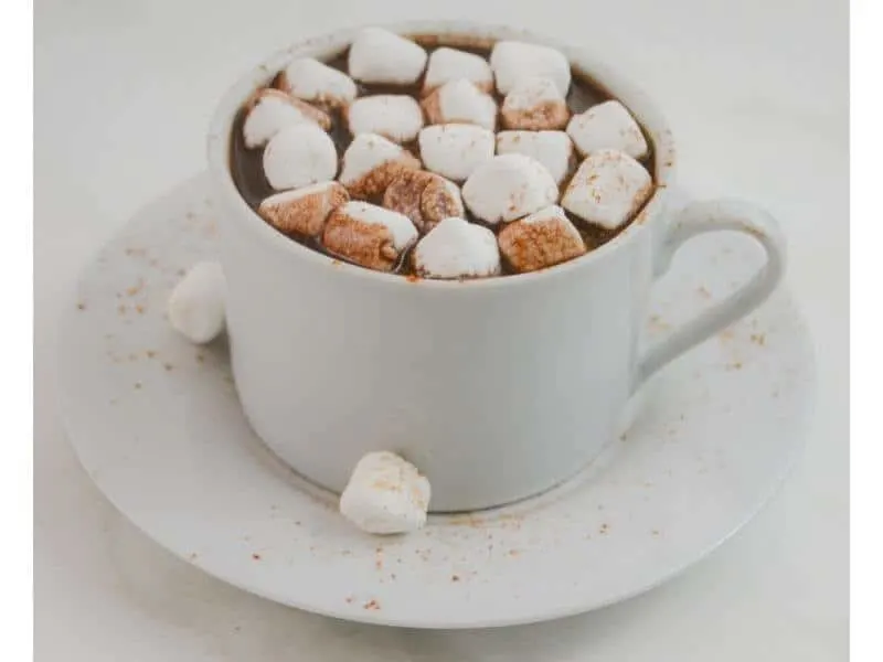 Microwave Hot Chocolate with chocolate chips - Vibrantly G-Free