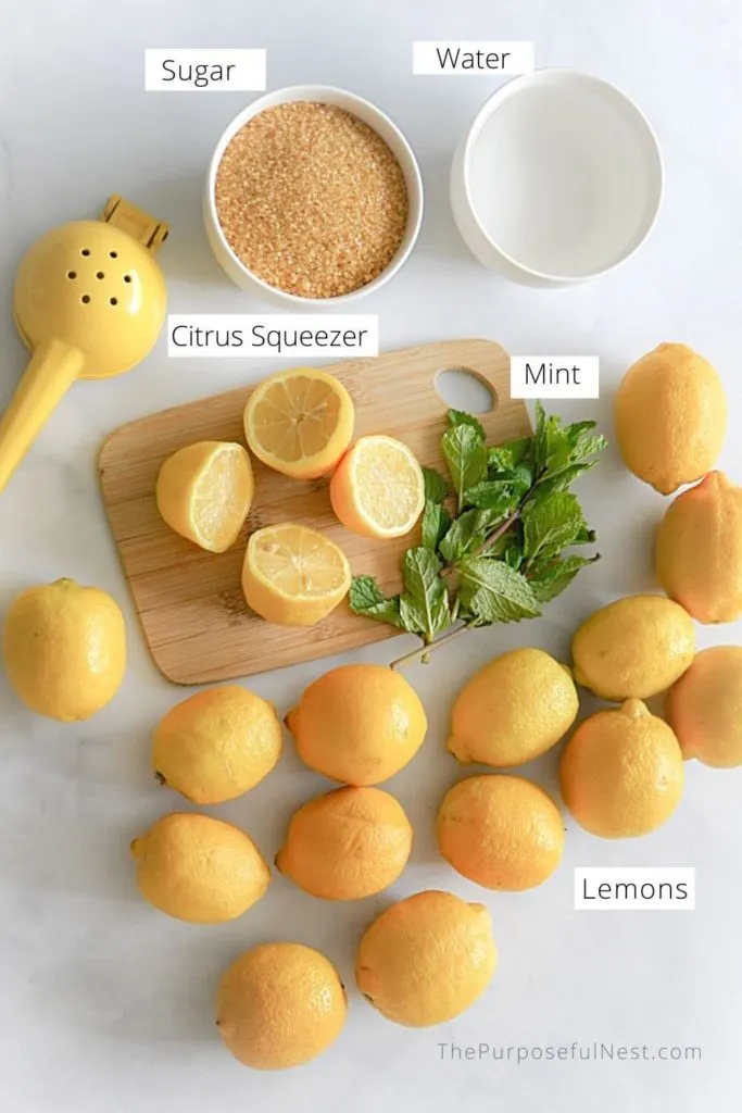 Homemade Lemonade Recipe