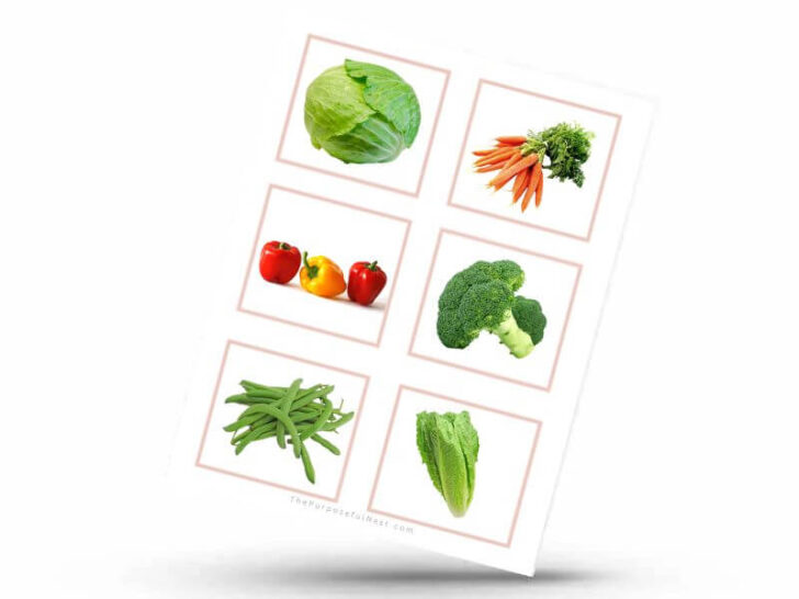 Vegetable Matching Cards