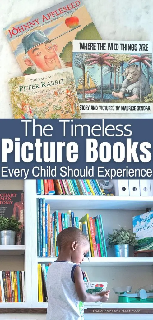 picture books for kindergarten