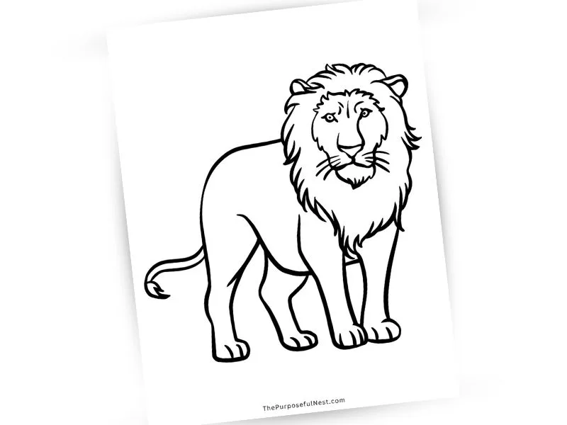 Safari Animal Coloring Page