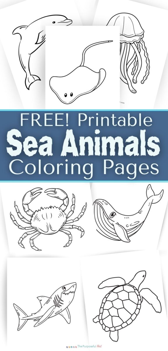 Ocean Animal Coloring Pages The Purposeful Nest