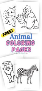 animal coloring pdf
