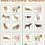 Farm Animal Matching Cards