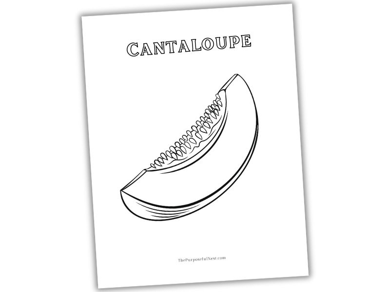 Cantaloupe coloring page