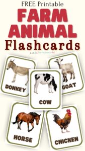 Farm Animal Flashcards