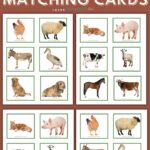 farm animal matching cards