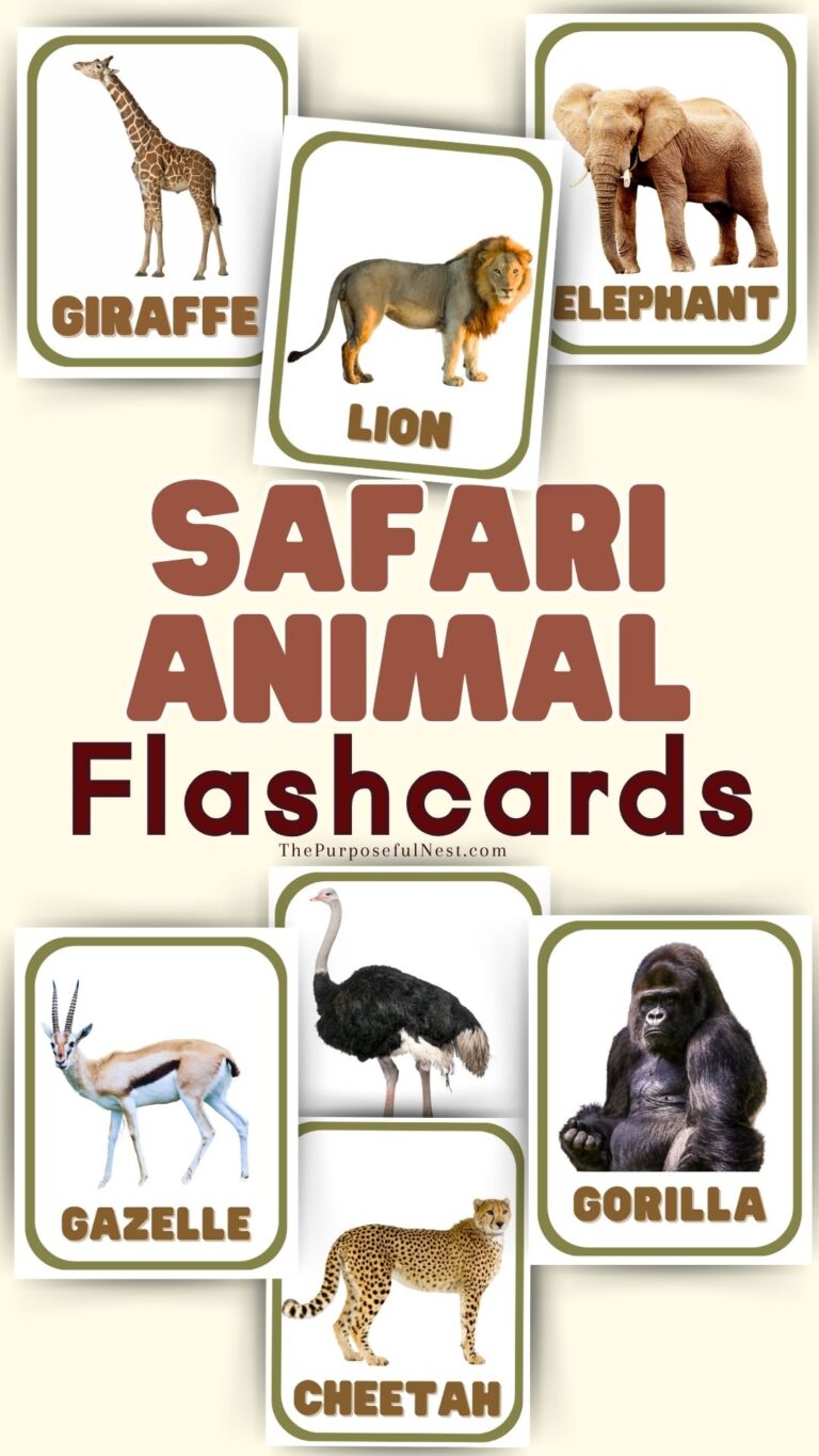 Safari Animal Flashcards - The Purposeful Nest