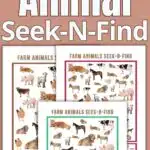 Farm Animal I-spy