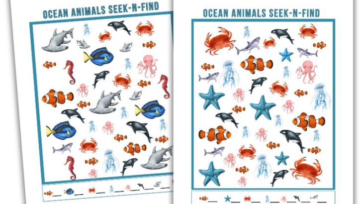 Ocean Animal Counting Activity
