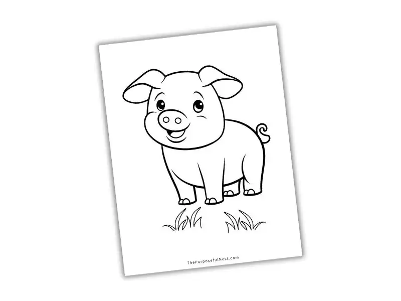 Pig coloring page.