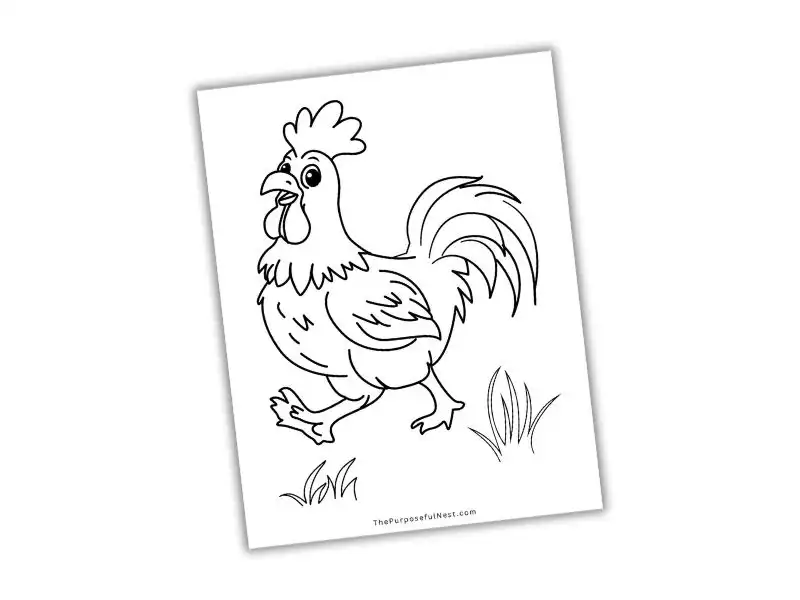 Rooster coloring page