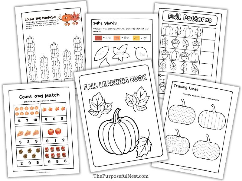 Free Fall Learning Learning Pages