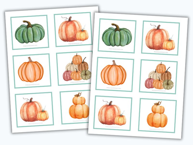 Pumpkin Matching Cards